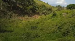 Uma oportunidade única para investir em qualidade de vida - Imagem 2