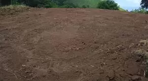 Uma oportunidade única para investir em qualidade de vida - Imagem 3