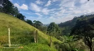 Refúgio na Serra a Apenas 10 km do Centro - Imagem 14