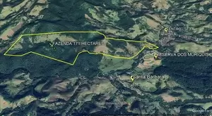 Fazenda à Venda com 171 Hectares em São Francisco Xavier