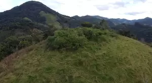 Fazenda à Venda com 171 Hectares em São Francisco Xavier - Imagem 3