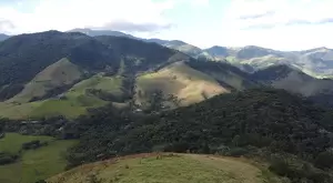 Fazenda à Venda com 171 Hectares em São Francisco Xavier - Imagem 4