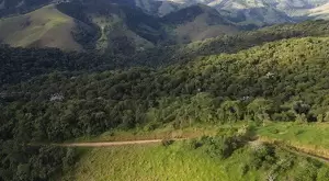 Fazenda à Venda com 171 Hectares em São Francisco Xavier - Imagem 7