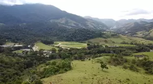 Fazenda à Venda com 171 Hectares em São Francisco Xavier - Imagem 8