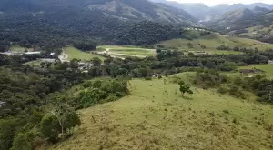 Fazenda à Venda com 171 Hectares em São Francisco Xavier - Imagem 9