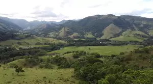 Fazenda à Venda com 171 Hectares em São Francisco Xavier - Imagem 10