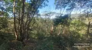 Terreno Rural 2, em São Francisco Xavier – Bairro do Guirra - Imagem 3