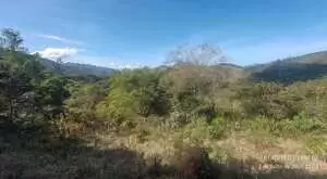 Terreno Rural 2, em São Francisco Xavier – Bairro do Guirra - Imagem 4