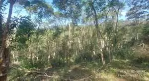 Terreno Rural 2, em São Francisco Xavier – Bairro do Guirra - Imagem 8