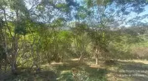 Terreno Rural 2 em São Francisco Xavier – Bairro do Guirra - Imagem 3