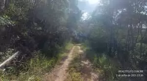 Terreno Rural 2 em São Francisco Xavier – Bairro do Guirra - Imagem 4