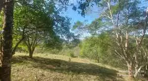 Terreno Rural 2 em São Francisco Xavier – Bairro do Guirra - Imagem 9