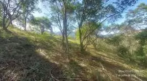 Terreno Rural 2 em São Francisco Xavier – Bairro do Guirra - Imagem 10