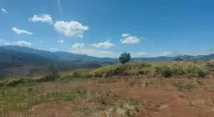 Terreno rural em Monteiro Lobato com vista maravilhosa - Imagem 3