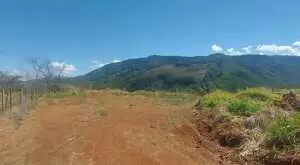Terreno rural em Monteiro Lobato com vista maravilhosa - Imagem 5