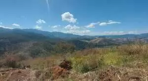 Terreno rural em Monteiro Lobato com vista maravilhosa - Imagem 9