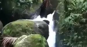 Terreno à venda no bairro do Laranjal – São Francisco Xavier - Imagem 2