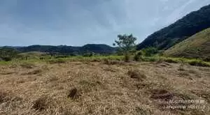Terreno à venda no bairro do Laranjal – São Francisco Xavier - Imagem 3