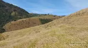 Terreno à venda no bairro do Laranjal – São Francisco Xavier - Imagem 14