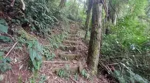 Terreno com 1 alqueire – Cachoeiras, Vista Panorâmica e Potencial Único - Imagem 3