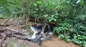 Terreno com 1 alqueire – Cachoeiras, Vista Panorâmica e Potencial Único - Imagem 4
