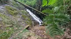 Terreno com 1 alqueire – Cachoeiras, Vista Panorâmica e Potencial Único - Imagem 5