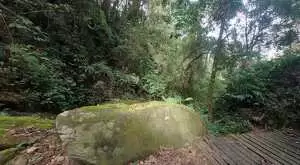 Terreno com 1 alqueire – Cachoeiras, Vista Panorâmica e Potencial Único - Imagem 8