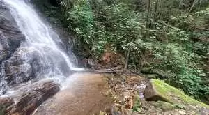 Terreno com 1 alqueire – Cachoeiras, Vista Panorâmica e Potencial Único - Imagem 9