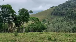 vista deslumbrante, água de nascente e total privacidade - Imagem 3