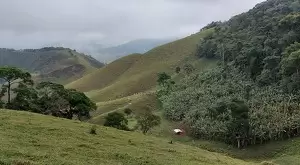 vista deslumbrante, água de nascente e total privacidade - Imagem 7