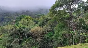 vista deslumbrante, água de nascente e total privacidade - Imagem 8