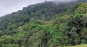 vista deslumbrante, água de nascente e total privacidade - Imagem 9