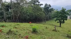 vista deslumbrante, água de nascente e total privacidade - Imagem 11