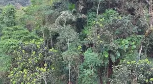 vista deslumbrante, água de nascente e total privacidade - Imagem 12