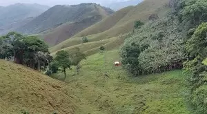 vista deslumbrante, água de nascente e total privacidade - Imagem 13