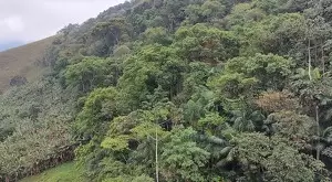 vista deslumbrante, água de nascente e total privacidade - Imagem 14