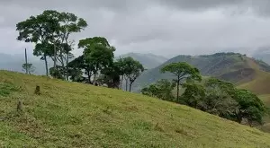 vista deslumbrante, água de nascente e total privacidade - Imagem 15