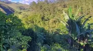 Propriedade com Vista Exuberante – Serra da Mantiqueira - Imagem 2