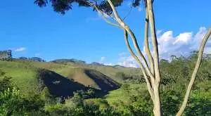 Propriedade com Vista Exuberante – Serra da Mantiqueira - Imagem 5