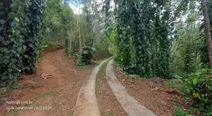 Casa para Locação em São Francisco Xavier  Localização privilegiada — apenas 1 km do centro! - Imagem 12