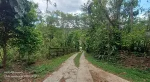 Casa para Locação em São Francisco Xavier  Localização privilegiada — apenas 1 km do centro! - Imagem 13