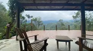 Síio nas montanhas de São Francisco Xavier - SP - Imagem 14